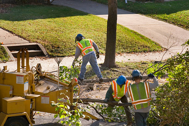 Best Seasonal Cleanup (Spring/Fall)  in Jasper, TX